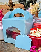 1 Jar Box (Coral Blue)