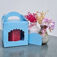 1 Jar Box (Coral Blue)