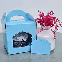 1 Jar Box (Coral Blue)